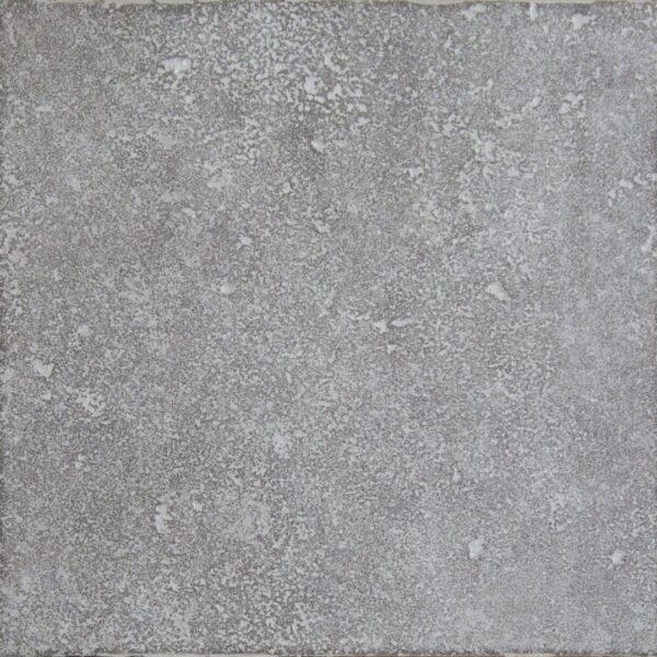 exagres_plitka_c2_r10_330x330_mm_vega_gris